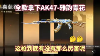 Download Video: 全款拿下AK47-雅韵青花，这枪到底有没有那么厉害呢？