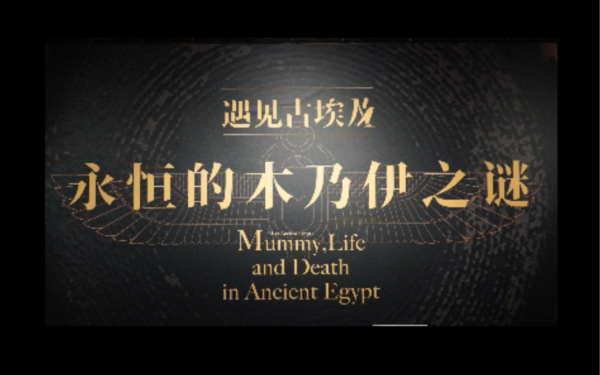 【遇见博物馆】上海静安馆—遇见古埃及:永恒的木乃伊之谜