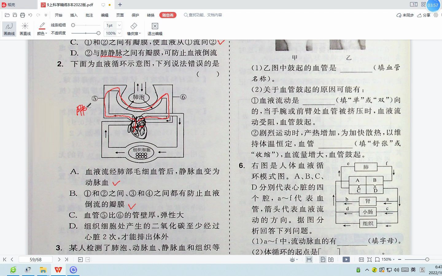 [图]08九上科学精练B本4章3节3课时血液循环