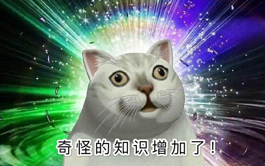 知识增加猫表情b站图片