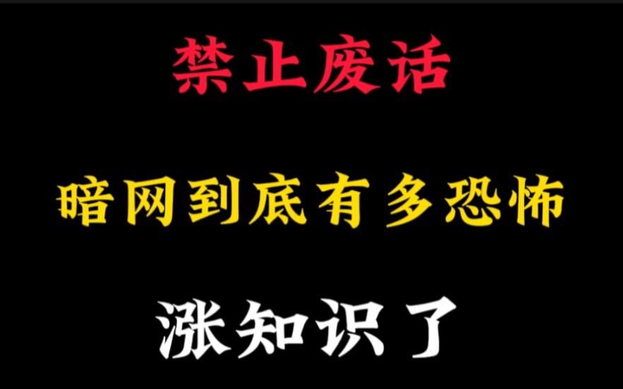 暗网到底有多恐怖,千万不要因为好奇去探索暗网,好奇害死猫哔哩哔哩bilibili