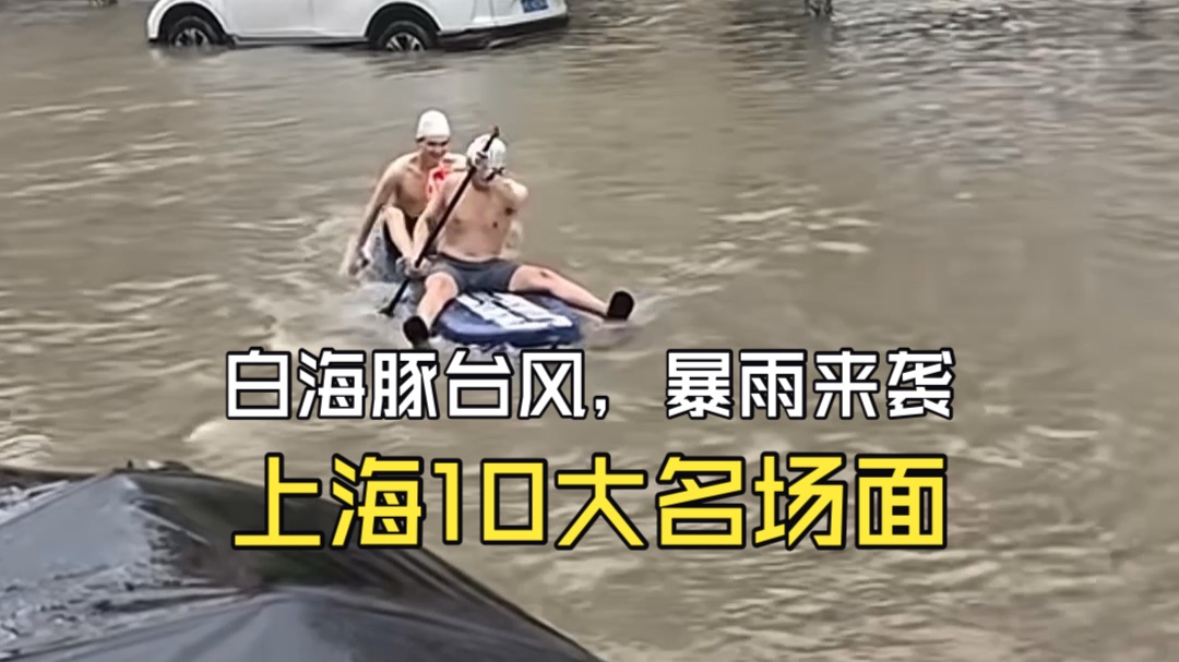 上海今日暴雨10大名场面｜20260809白海豚威力来袭