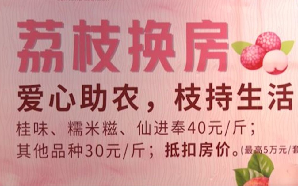 广州增城楼盘推出“荔枝换房”活动,最高抵5万元哔哩哔哩bilibili