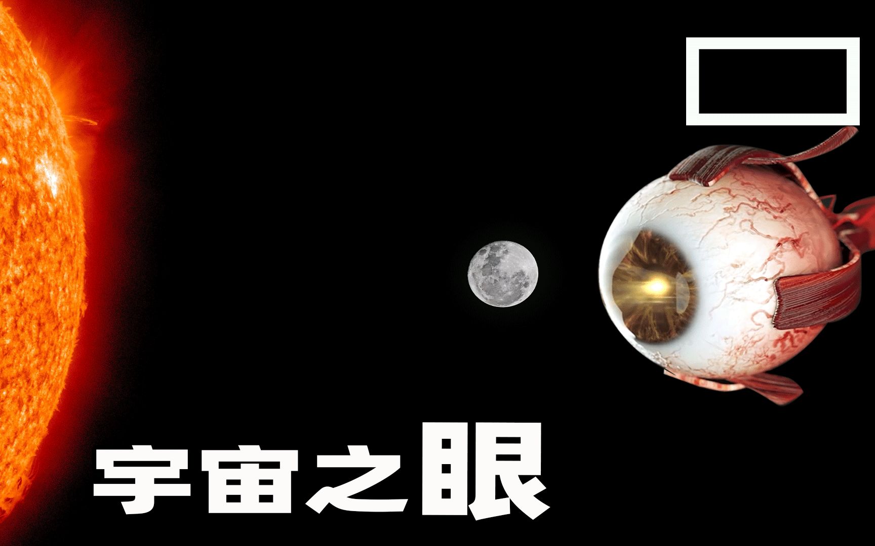 [图]震撼！人的眼睛本不应该存在？原来背后隐藏着【宇宙之眼】  #原创 #眼睛的秘密 #人类进化