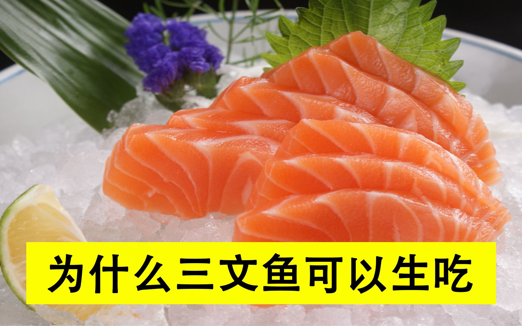 生吃三文鱼,不怕有寄生虫吗?看完又涨知识了!