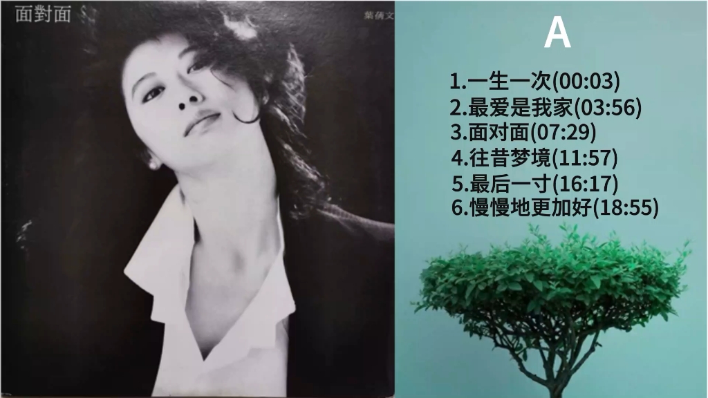 叶倩文《面对面》黑胶唱片专辑内录,无损音质,黑胶模拟味的享受