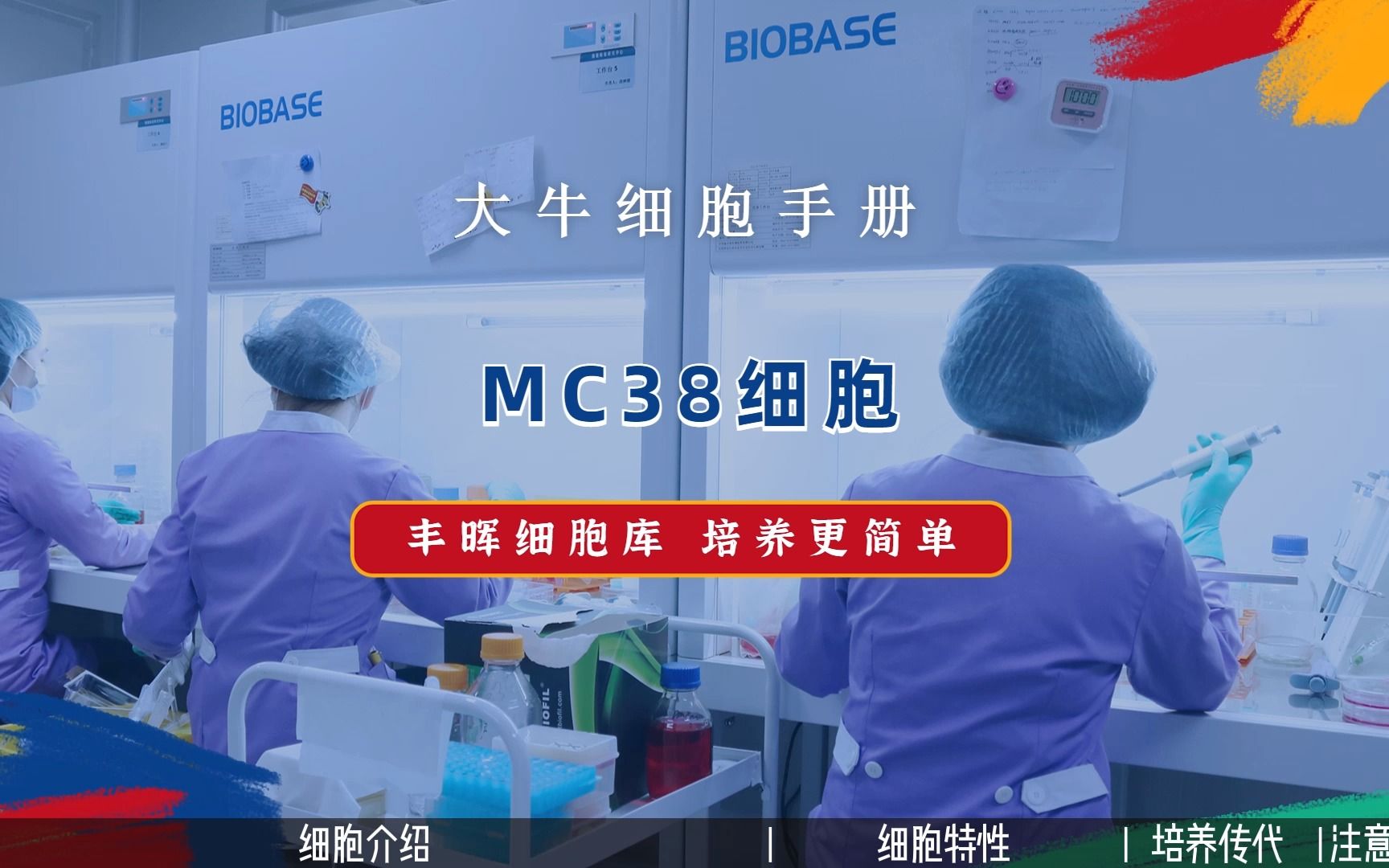 丰晖生物细胞库培养手册——MC38细胞培养,小鼠结肠癌细胞培养攻略.哔哩哔哩bilibili