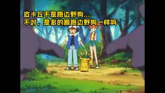 小智：时代变了，现在是闪光皮卡丘多得跟路边野狗一样！