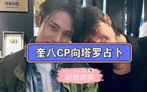 Download Video: 【好甜塔罗】奎八CP塔罗占卜