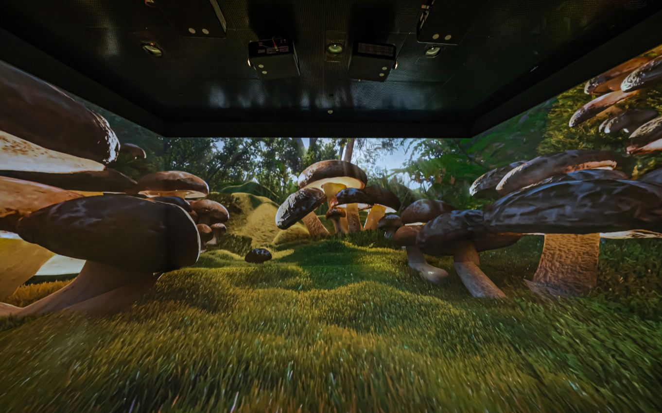 cave空间 | 调动多维感官体验,沉浸式溯源好品质