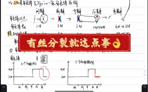 下载视频: 【高中生物】有丝分裂考的就这点事