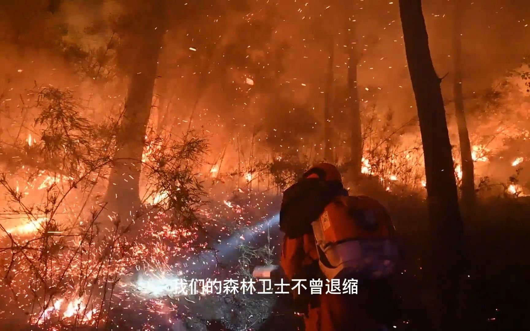 [图]防范森林火灾，守护绿色家园，一根燃烧的火柴，一次林间的上坟烧纸，一根未熄灭的烟头，都有可能引发失去控制的森林大火