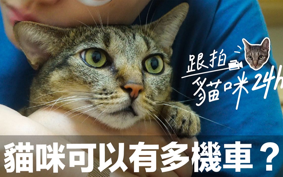 【跟拍猫咪24h短裤篇】猫咪机车的极限就是短裤吧!哔哩哔哩bilibili