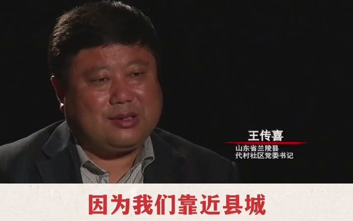 王传喜:乡村振兴的“领头雁”哔哩哔哩bilibili