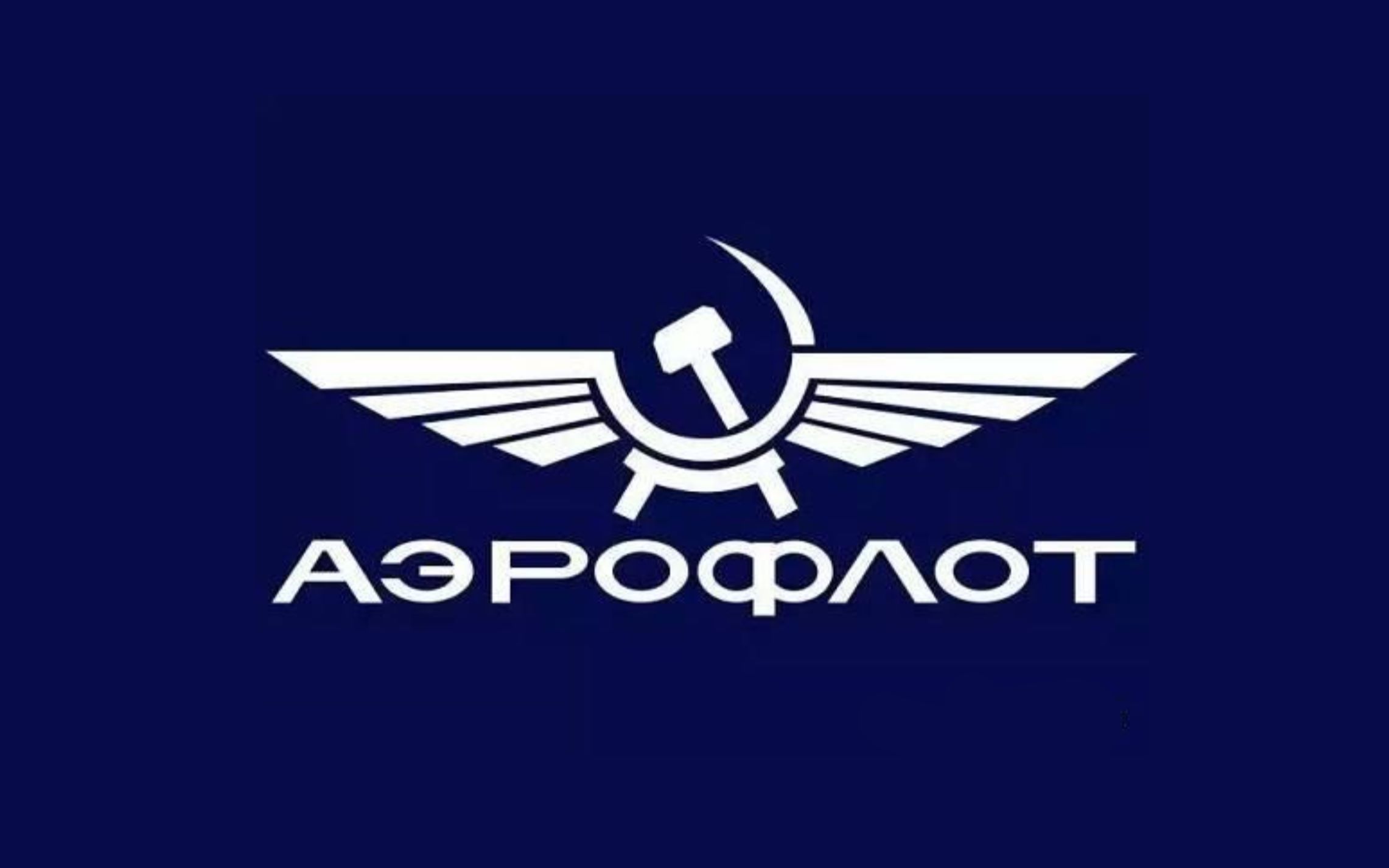 俄航777客舱安全视频(搬运)_哔哩哔哩_bilibili