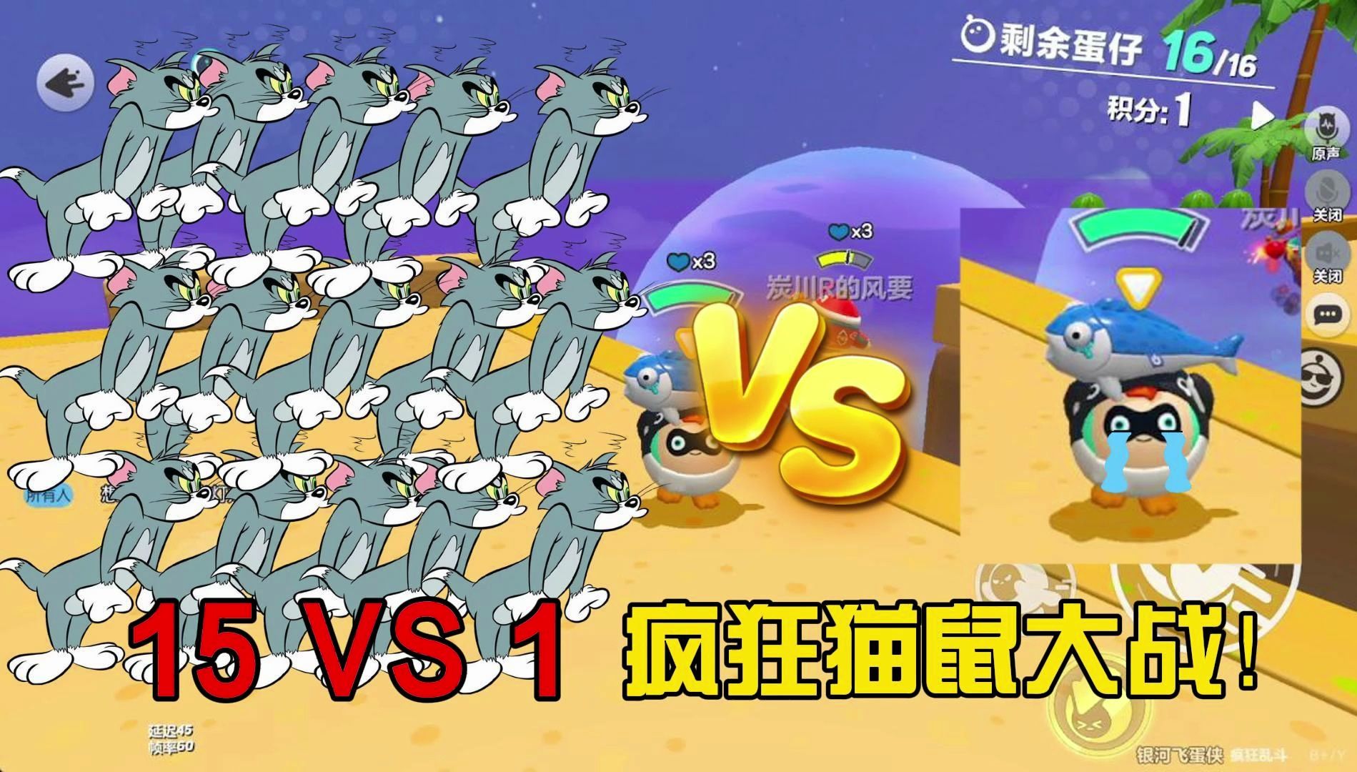 [图]15 VS 1，疯狂猫鼠大战！