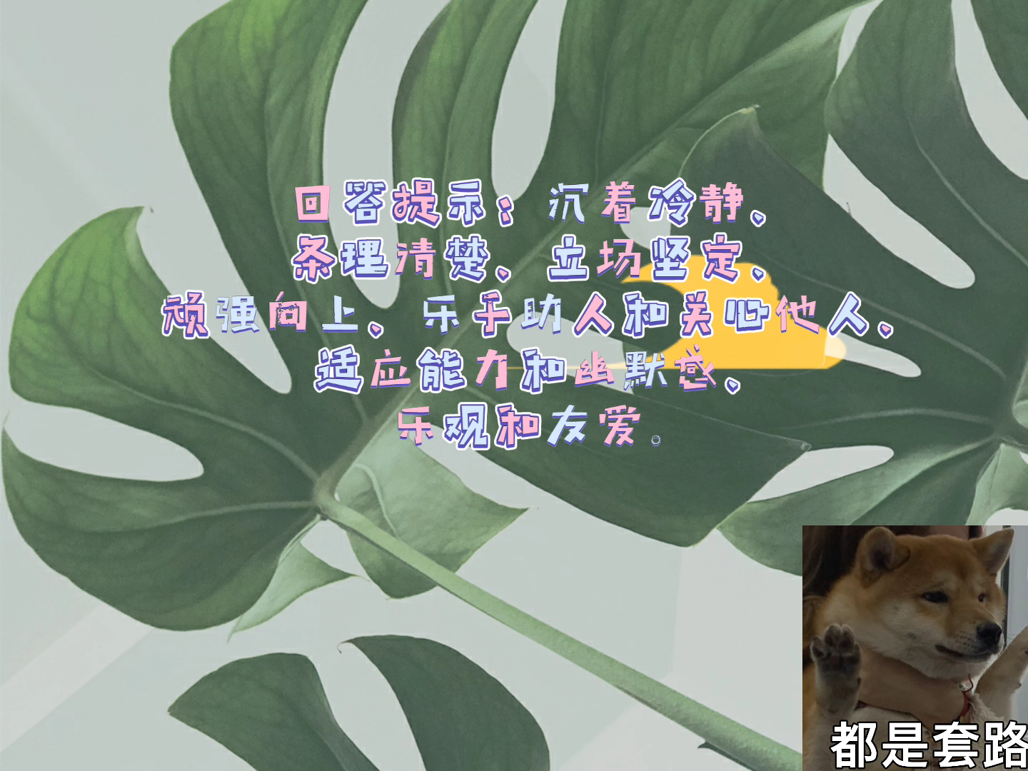 【面试技巧】觉得你个性上最大的优点是什么?哔哩哔哩bilibili