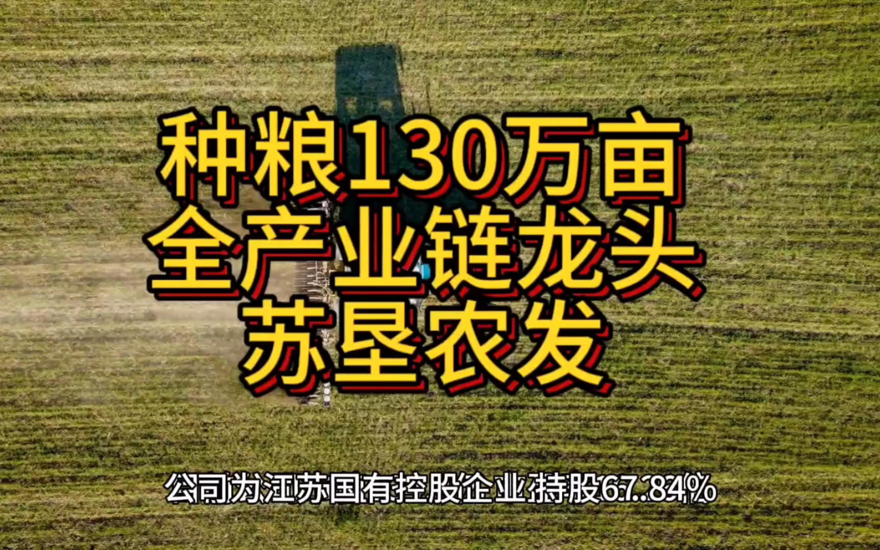 自主种植130万亩耕地全产业链龙头苏垦农发哔哩哔哩bilibili