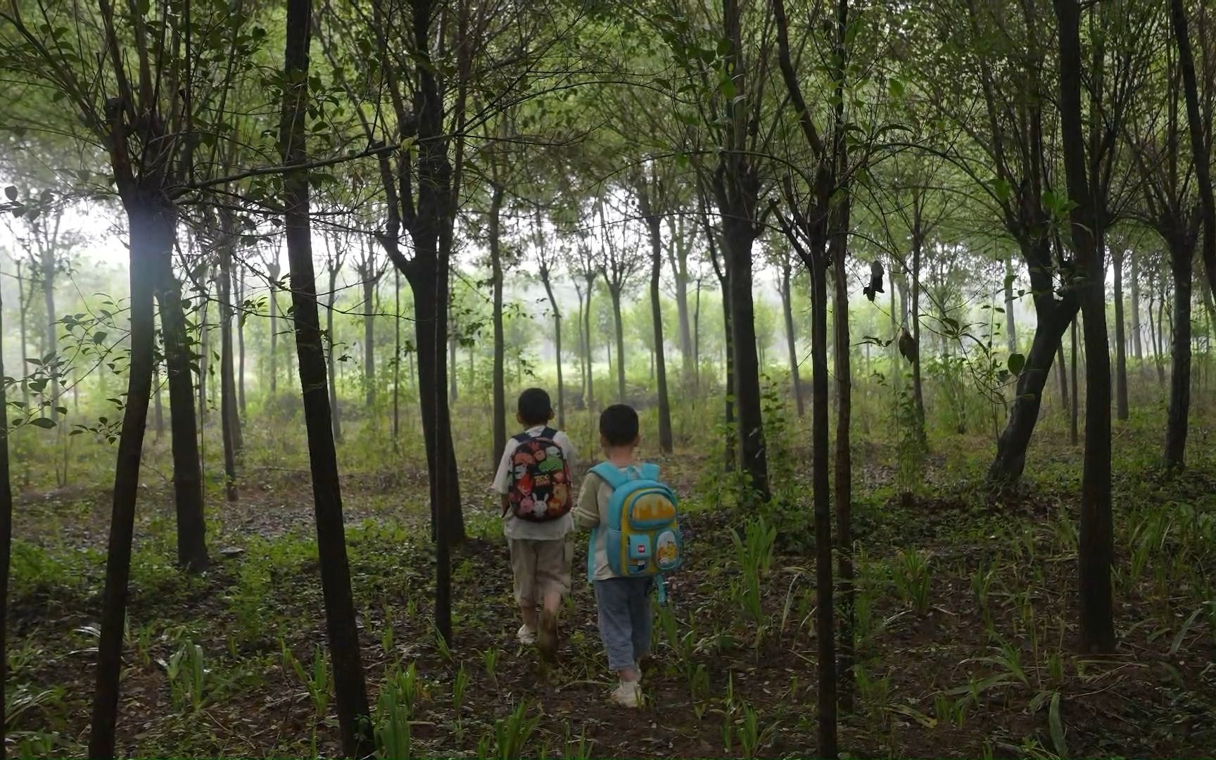 UEA影视制作专业研究生毕设:雨林里的野人先生(Mr. Wild Man in the Rainforest)哔哩哔哩bilibili