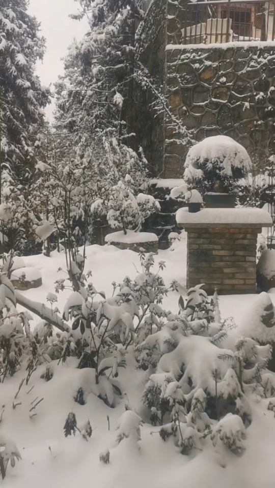 大雪,覆蓋了我的家鄉!瑞雪兆豐年,祝來年幸福!