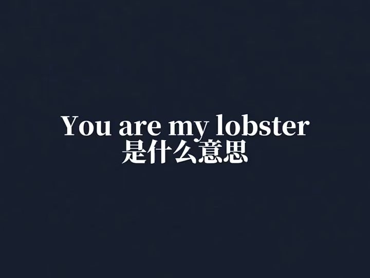 [图]3xakais6qqh4gba_you are my lobster是什么意思#英语口语天天练 #英语口语天天练 #英语语法没那么难