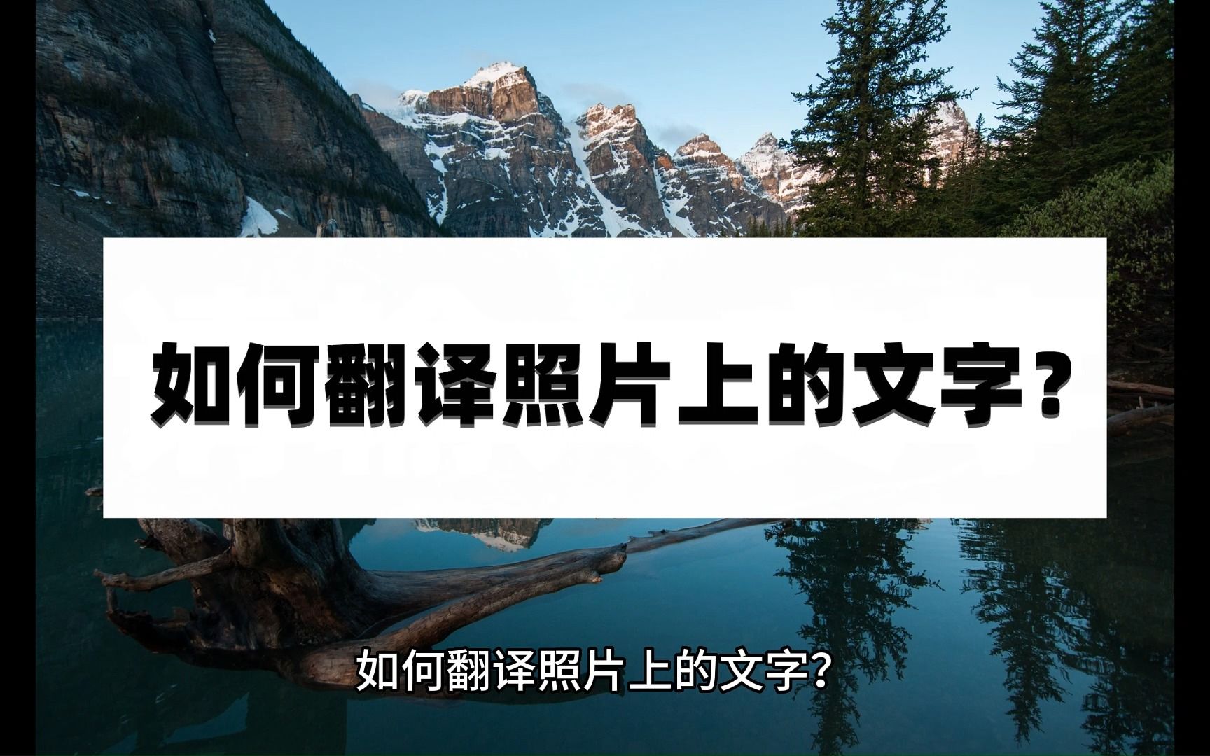 如何翻译照片上的文字?介绍几个简单方法