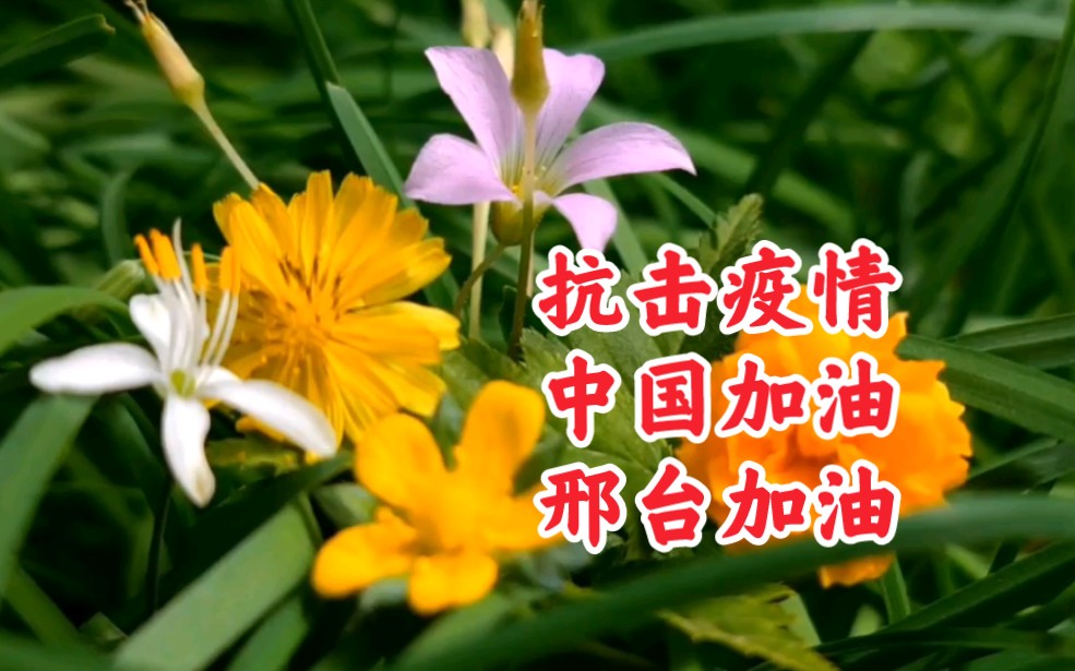 燕云台24抗击疫情中国加油邢台加油