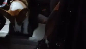 玲珑半岁的时候