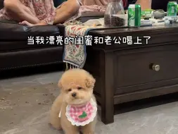 Descargar video: 碎嘴子每次被漂亮阿姨抱脸都拉拉老长