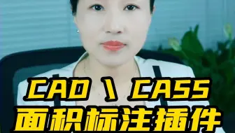 CAD或CASS面积标注为亩插件