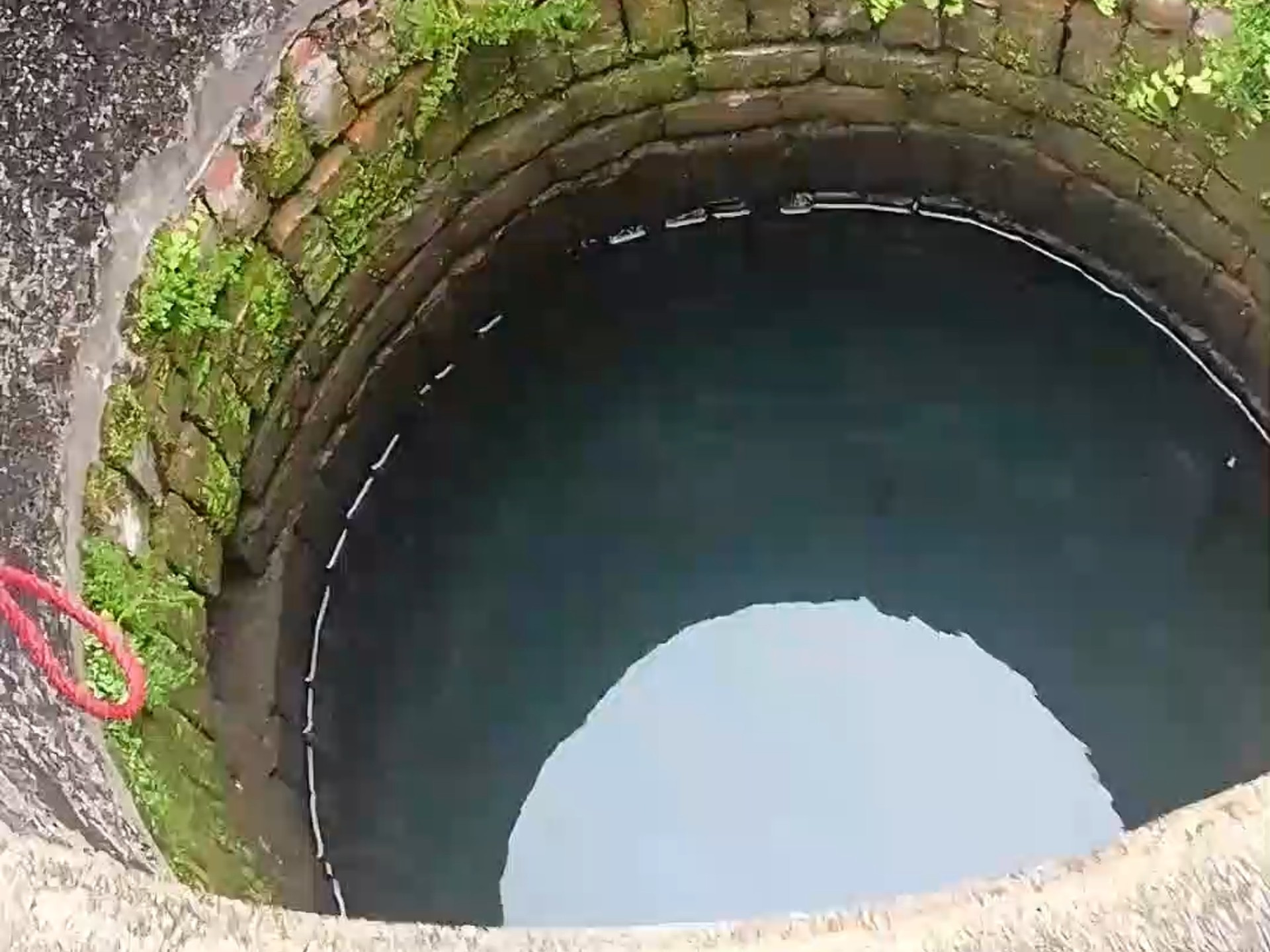 油化新闻_大庆网