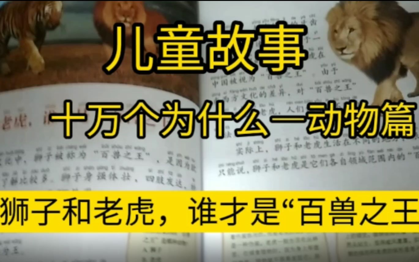 儿童睡前故事十万个为什么狮子和老虎谁才是百兽之王的故事哔哩哔哩bilibili