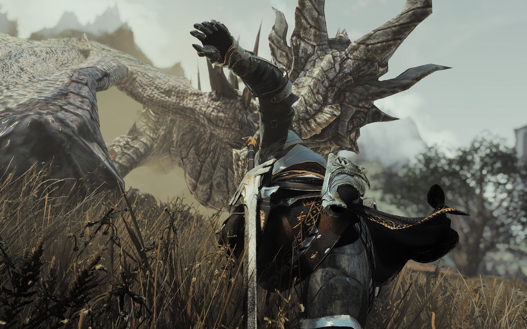 上古卷轴5 猎龙人 啊啊啊啊!henxin!