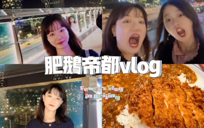 【肥鹅vlog】因考试而去帝都一日游哔哩哔哩bilibili