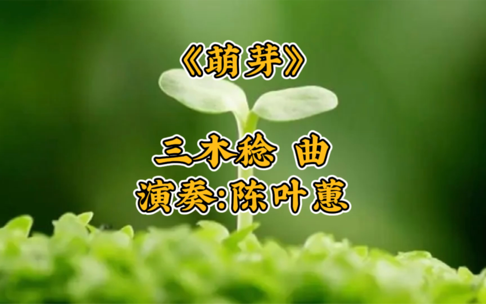 古筝|三木稔大师作品《萌芽》献给万物生长的春分哔哩哔哩bilibili