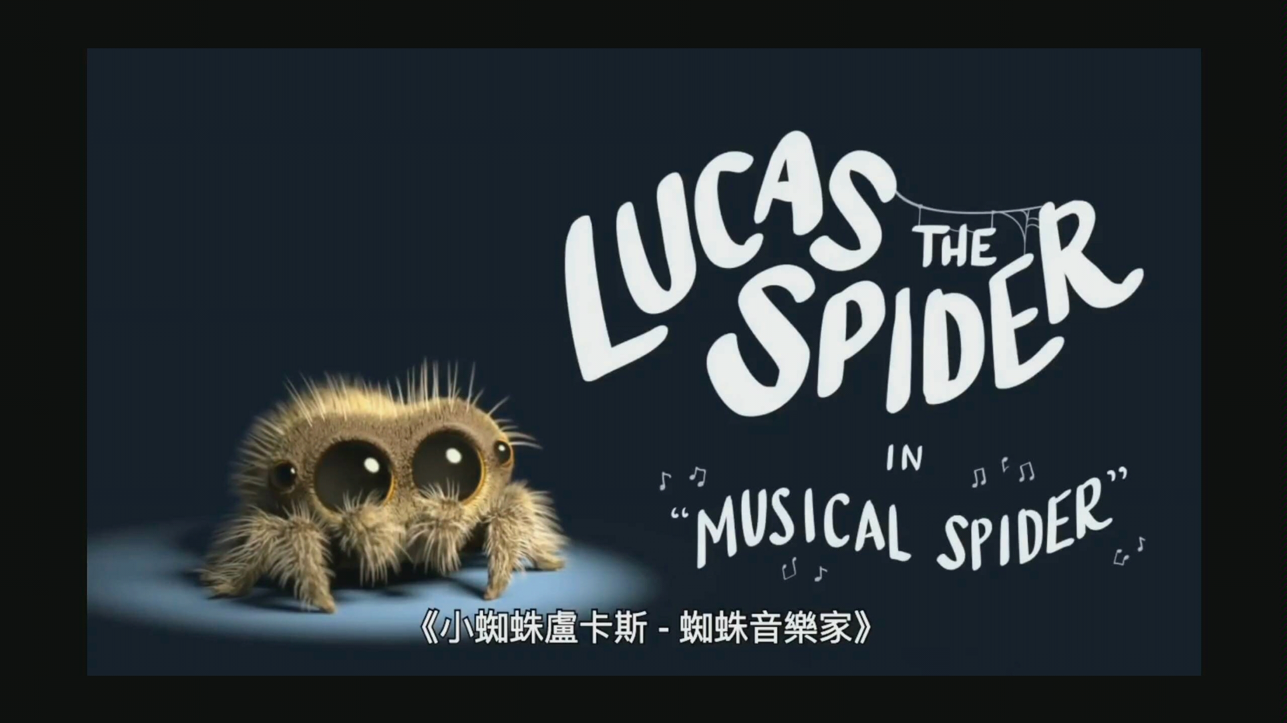 小蜘蛛卢卡斯2