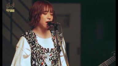 PEDRO 来ないでワールドエンド 浪漫 LIVE Blu-ray 東京 PEDRO 来ないでワールドエンド 浪漫 LIVE Blu-ray 東京 PEDRO