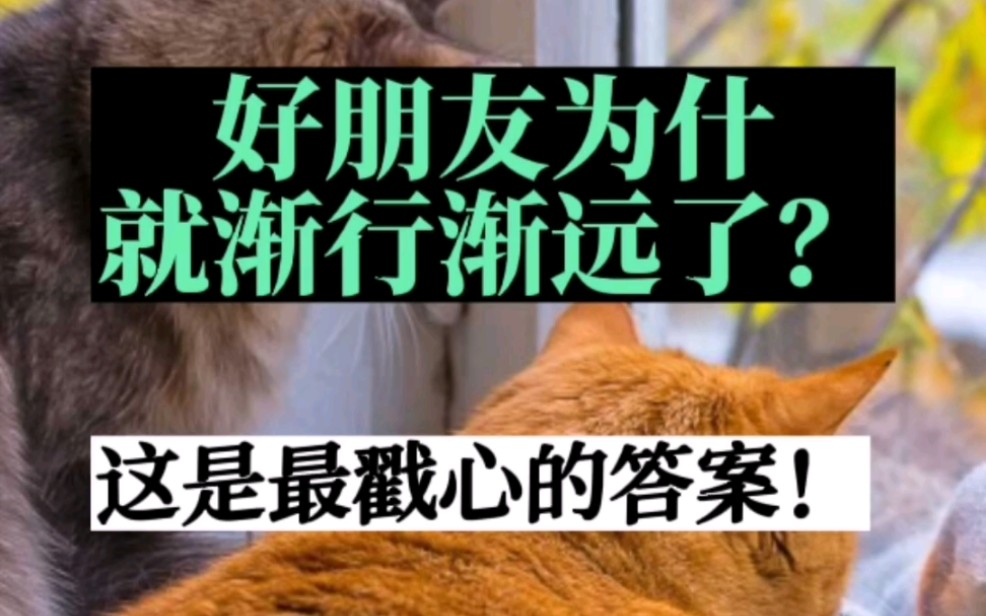 好朋友为什么渐行渐远了