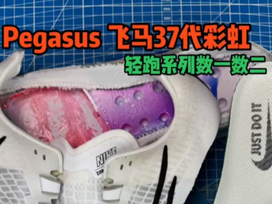 Pegasus 飞马37代彩虹 轻跑系列数一数二 Lio015 沉浸拆解 0哔哩哔哩bilibili