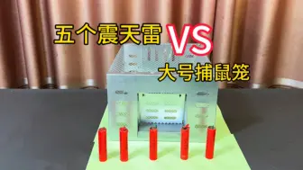 Download Video: 五个震天雷和捕鼠笼谁更厉害？实测