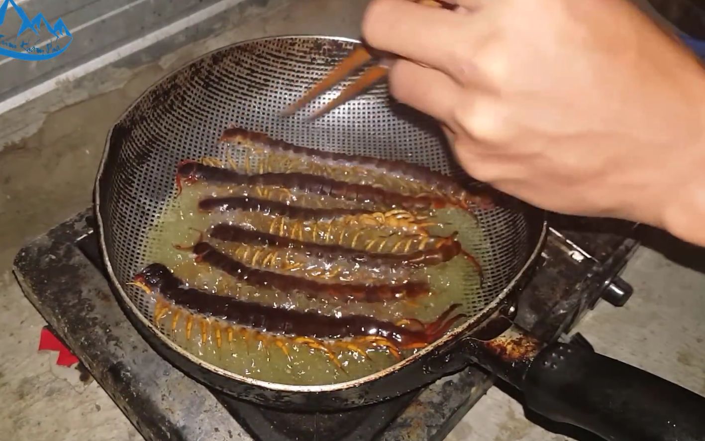 手抓大蜈蚣 吃蜈蚣连壳带腿吃了个精光