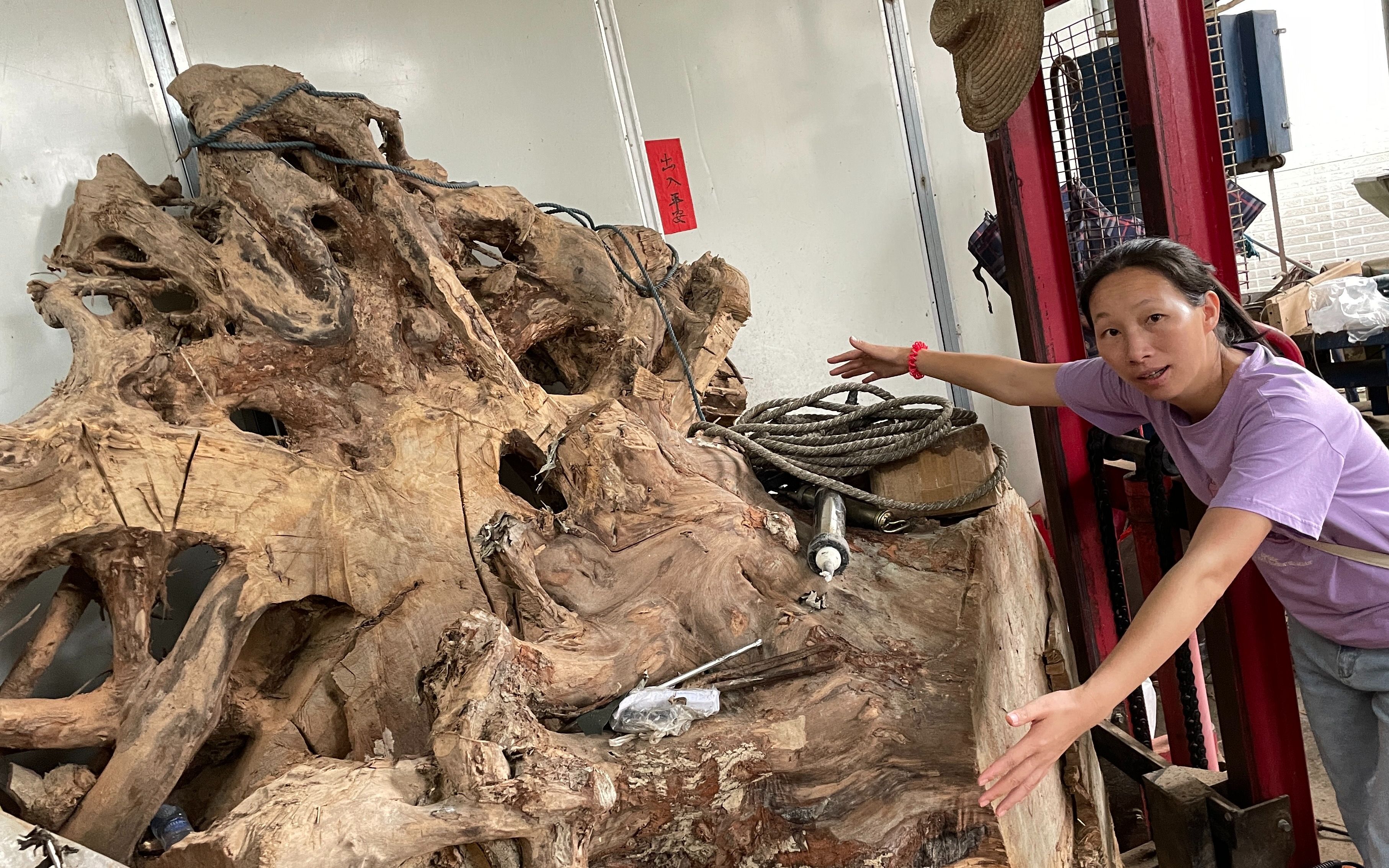 这块千斤木头有特殊香味,有老板愿意花58万购买,老乡却不愿意卖