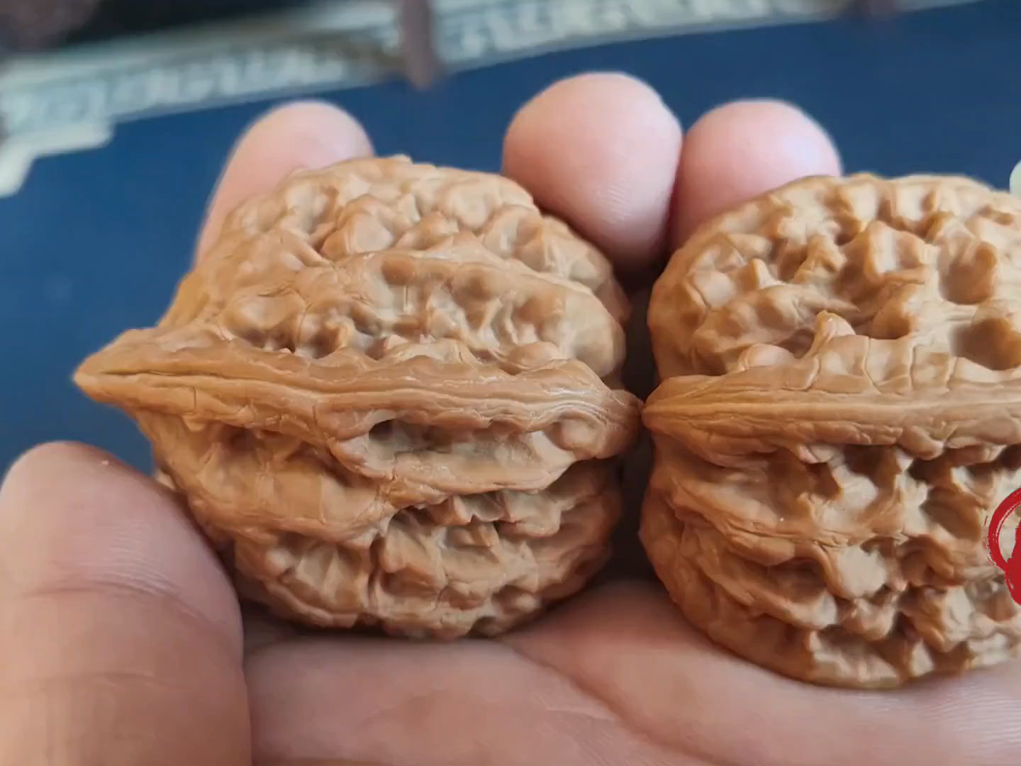 文玩核桃,小众大沽石高桩,皮质红润瓷实,棱边憨厚粗壮分量坠手