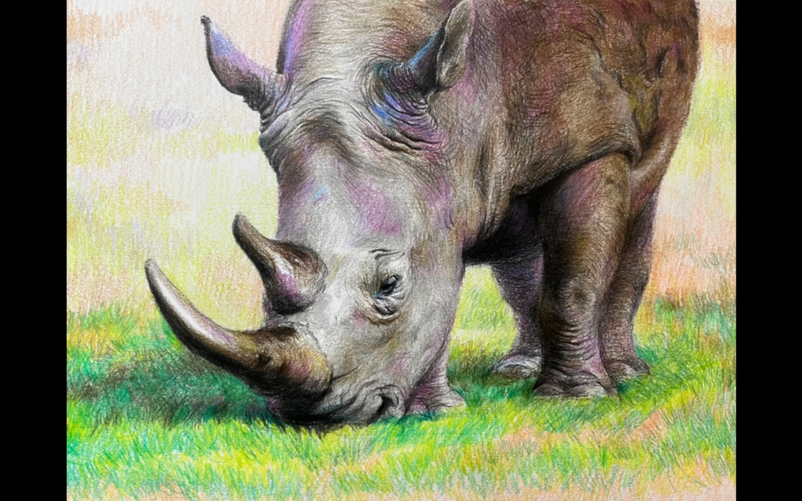 彩铅犀牛一张