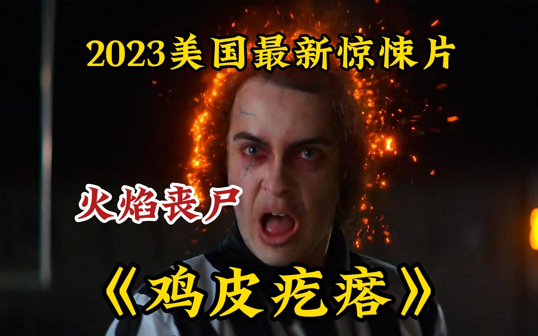 2023年科幻惊悚剧《鸡皮疙瘩》:海边小镇怪事频发,灵异事件层出不穷哔哩哔哩bilibili