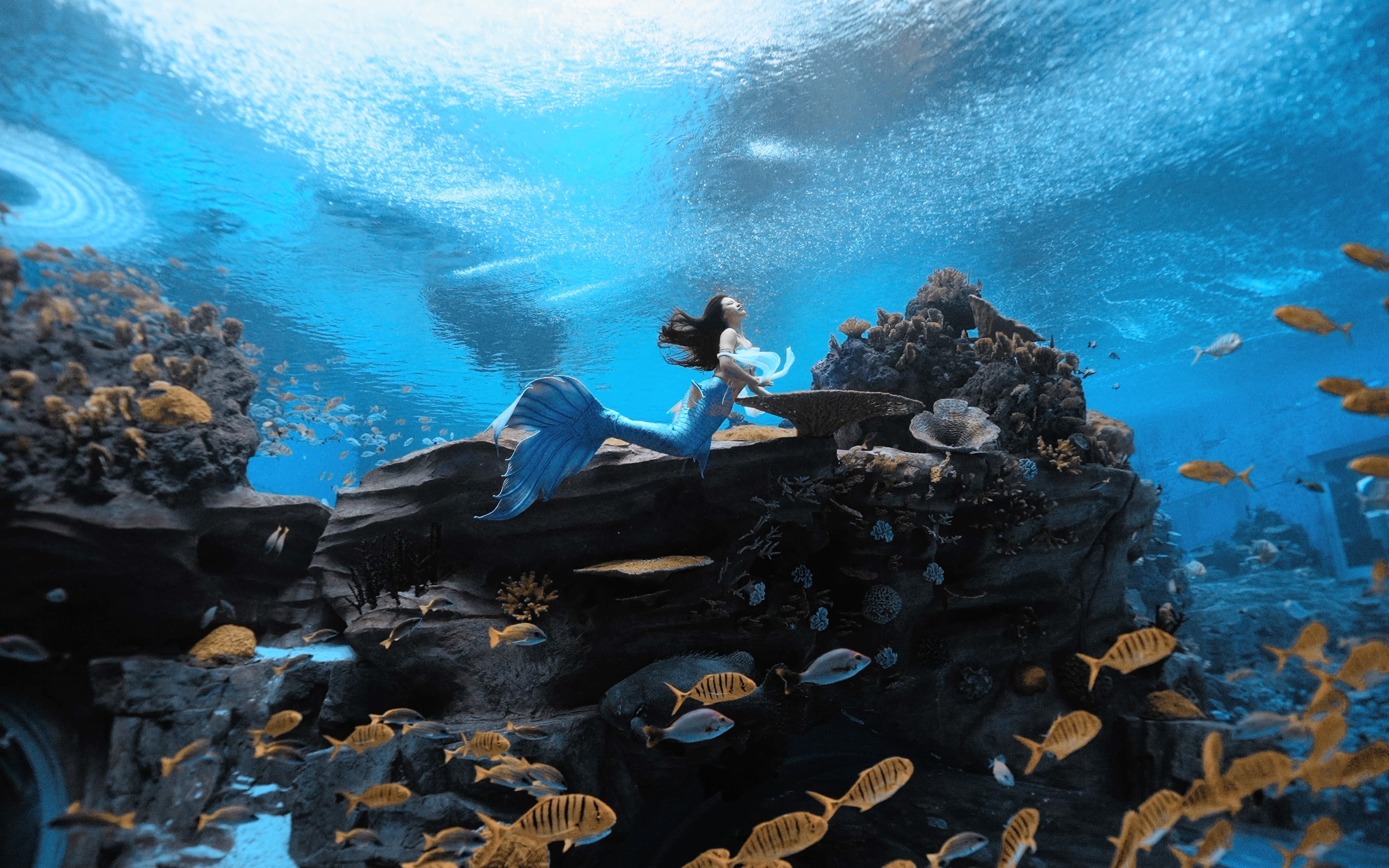 被震撼到了,仿佛来到了阿凡达的水下世界!当一次美人鱼小公主吧!