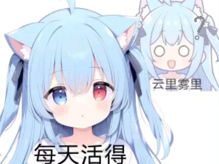 一些网友猫猫们的可爱表情包!#12哔哩哔哩bilibili