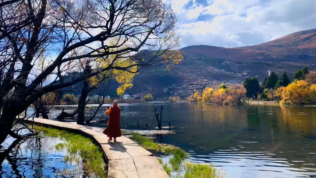 [图]禅是一枝花我的转身并不是离开而是勇敢的向你走来………[玫瑰]一一铁佛愿力