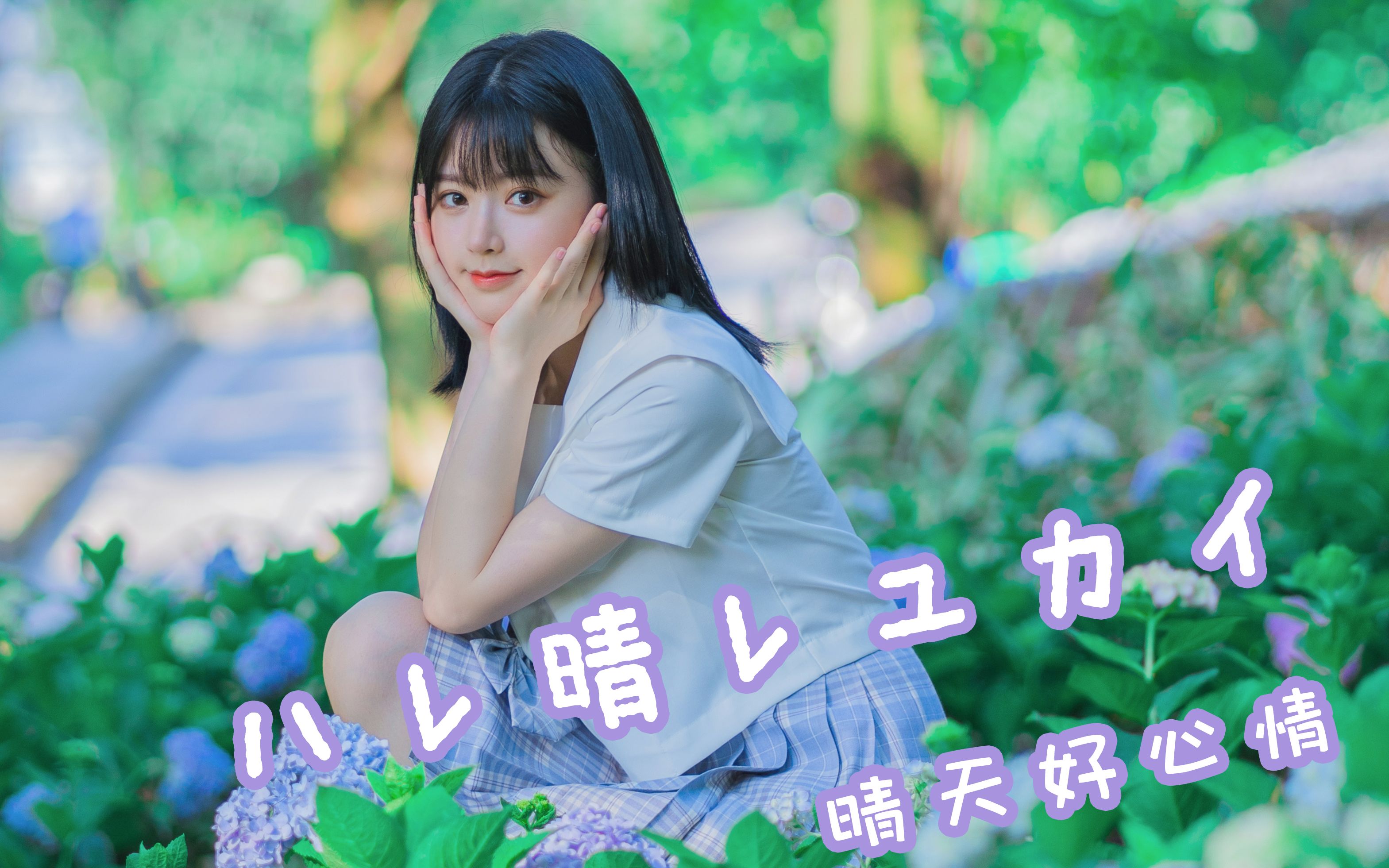 【sora酱】晴天好心情/ハレ晴レユカイ_哔哩哔哩 (゜-゜)つロ 干杯