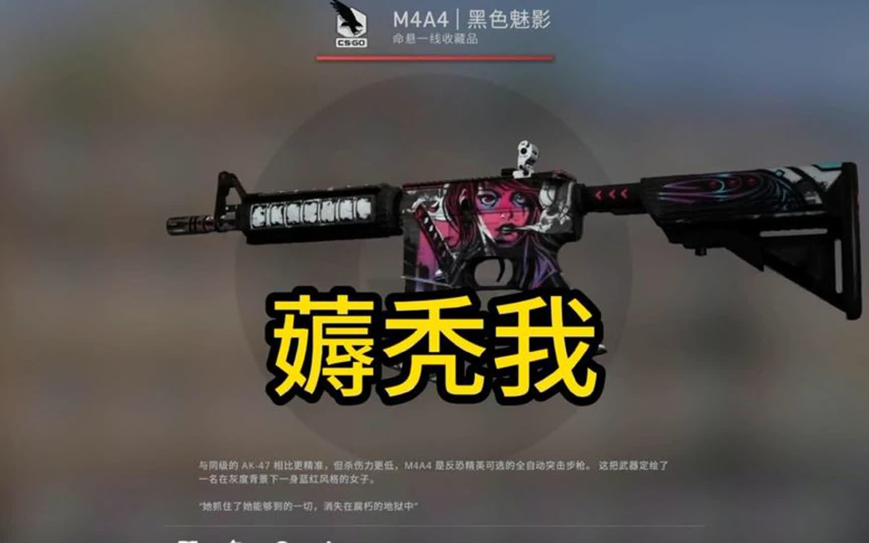 【csgo直播】我要被你們掏空了兄弟們,本期貓貓狗狗5把